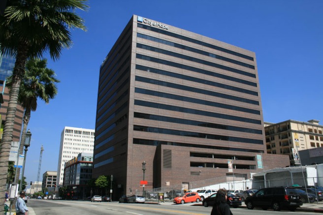 1055 Wilshire (image source: unknown)